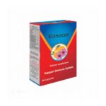 Ecinocez